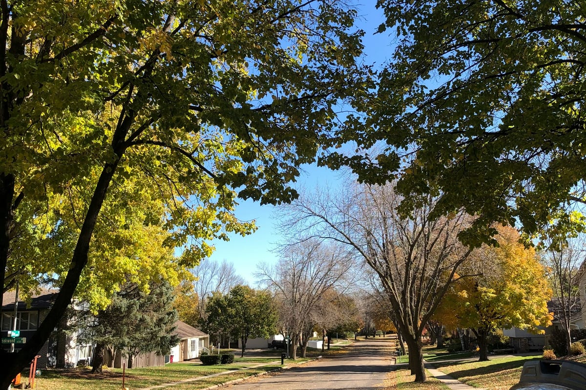 Serving Brandon, Tea & Harrisburg: Your Local Dumpster Rental FAQ